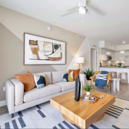 living room with natural light