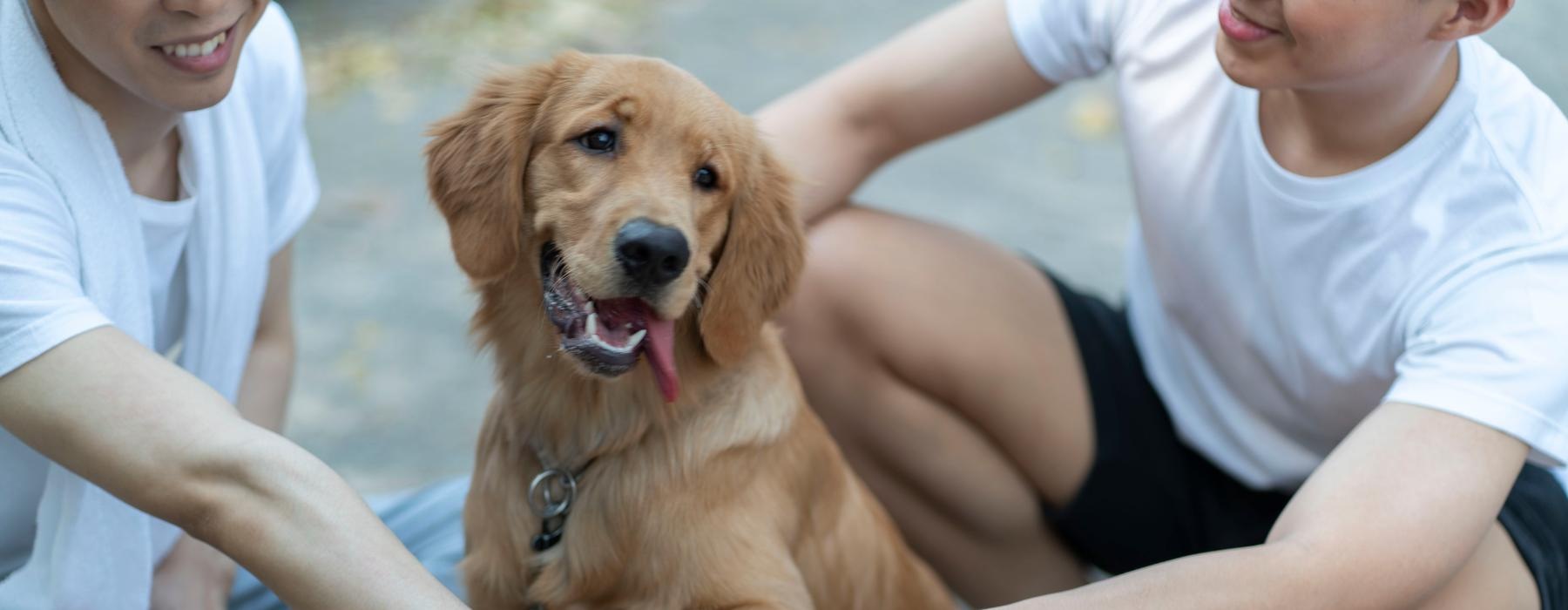 people sitting around a dog